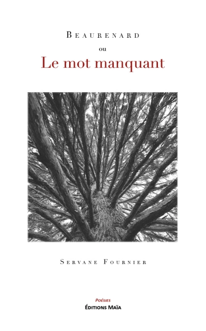 Beaurenard ou Le Mot Manquant