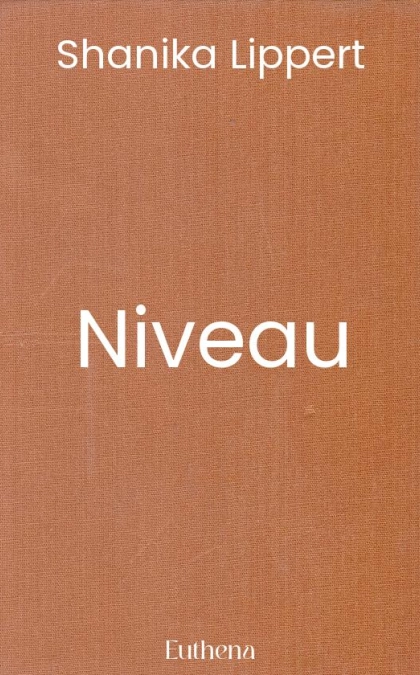Niveau