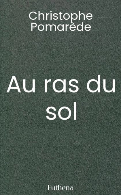 Au ras du sol