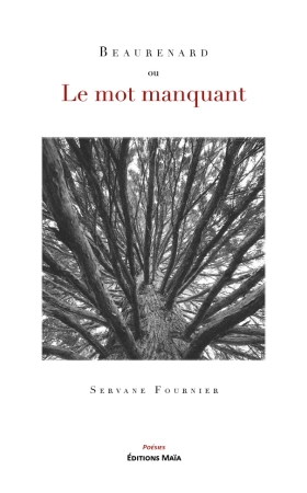 Beaurenard ou Le Mot Manquant - Servane Fournier
