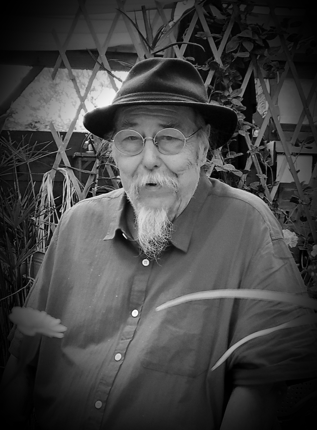 JOËL LAINE