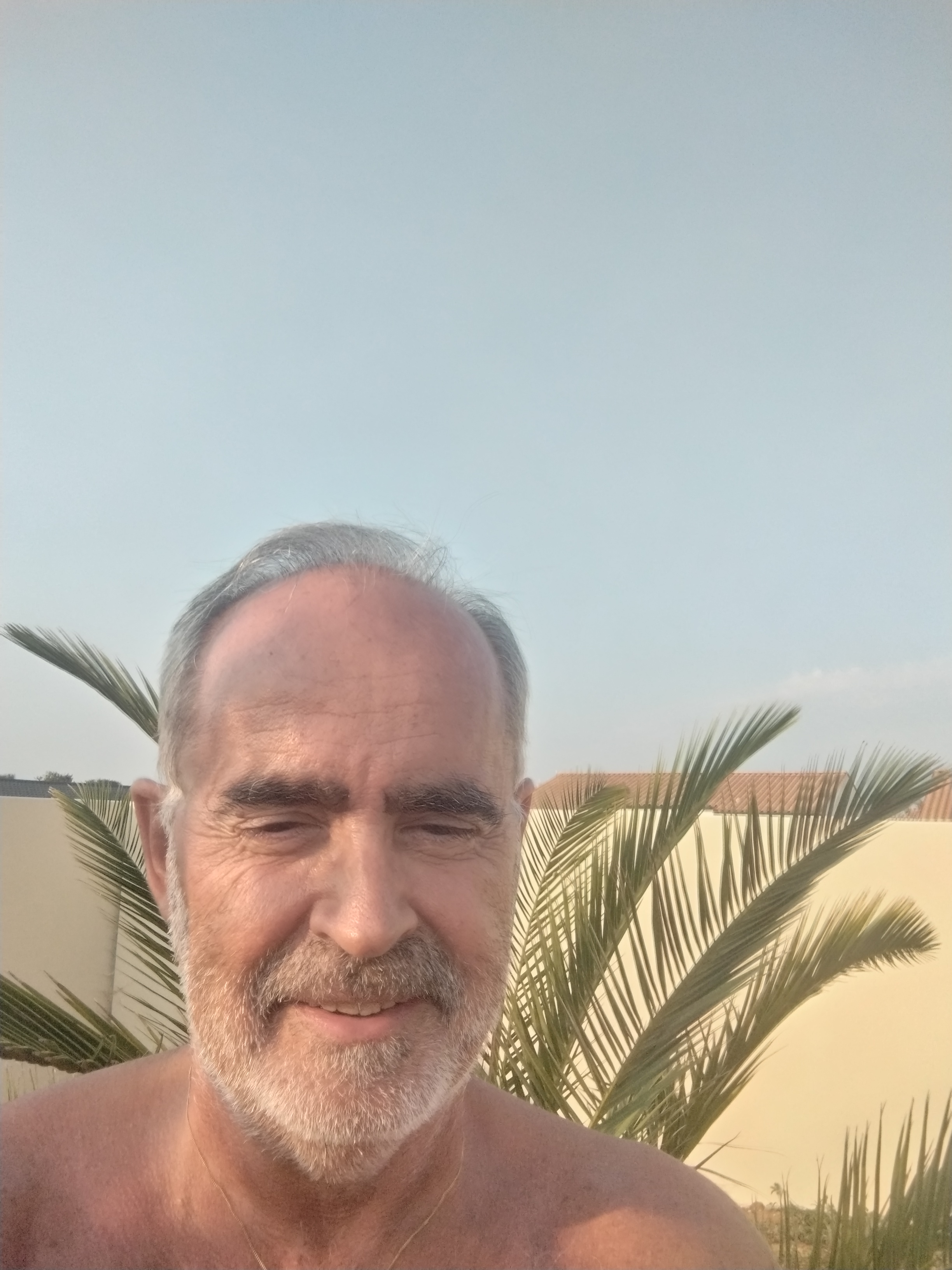 Paul Bis